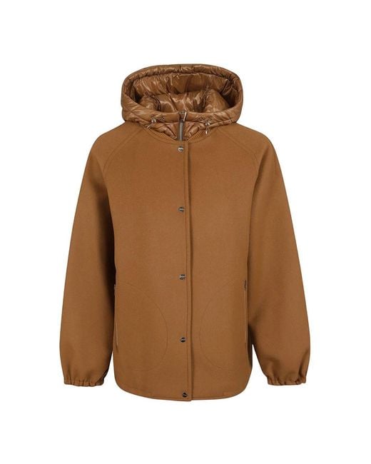Winter Jackets Herno en coloris Brown