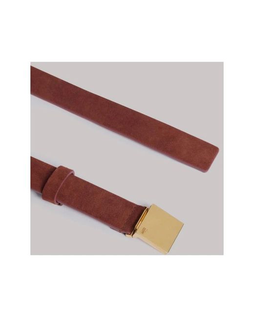 Alberta Ferretti Brown Belts