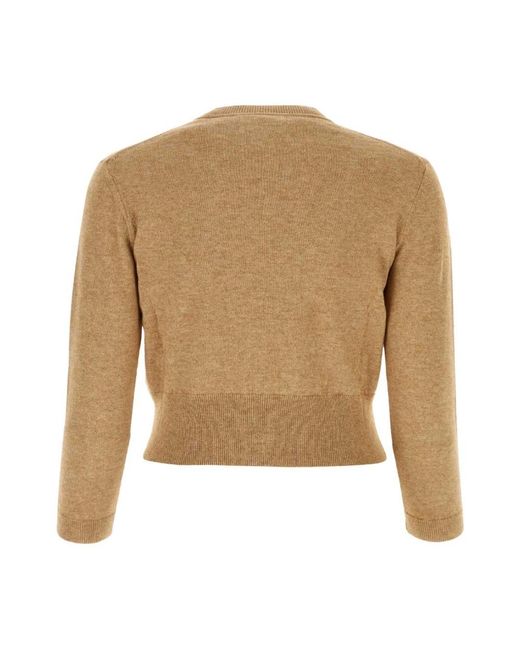 Isabel Marant Truien & Vesten ,Bruin ,Katoen Newton Cardigan in het Brown
