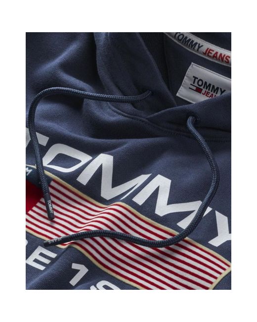 Tommy Hilfiger Blue Hoodies for men