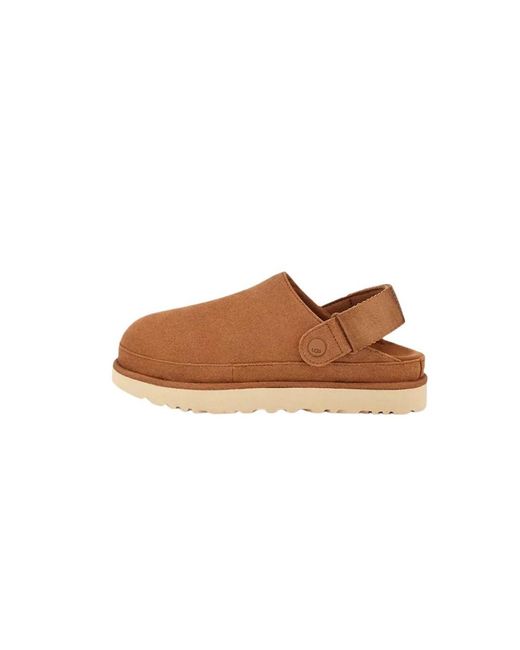 Ugg Schoenen in het Brown voor heren