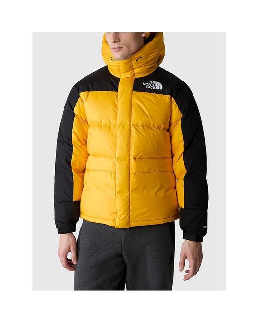 The North Face Fitness ,Geel ,Nylon Himalayan Down Parka in het Metallic voor heren