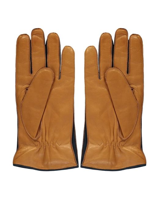 Moorer Brown Gloves for men