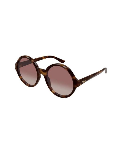 Chloé Brown Sunglasses