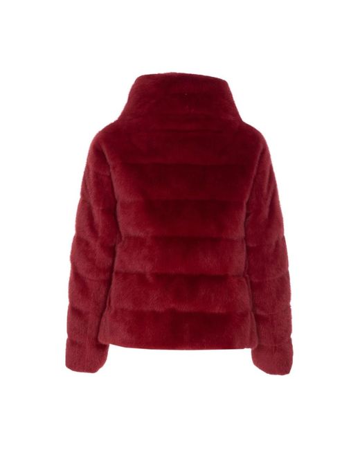 Herno Rode Winterjas Met Nepbont in het Red