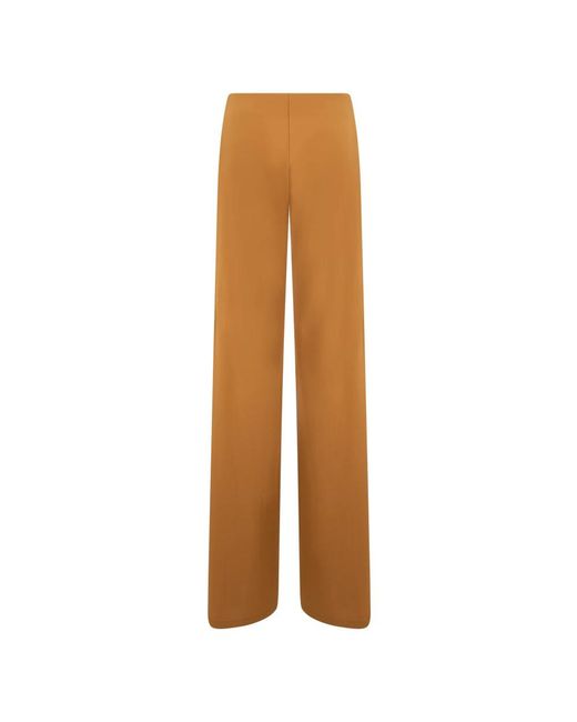 Alberta Ferretti Wide Straight Pants in het Brown
