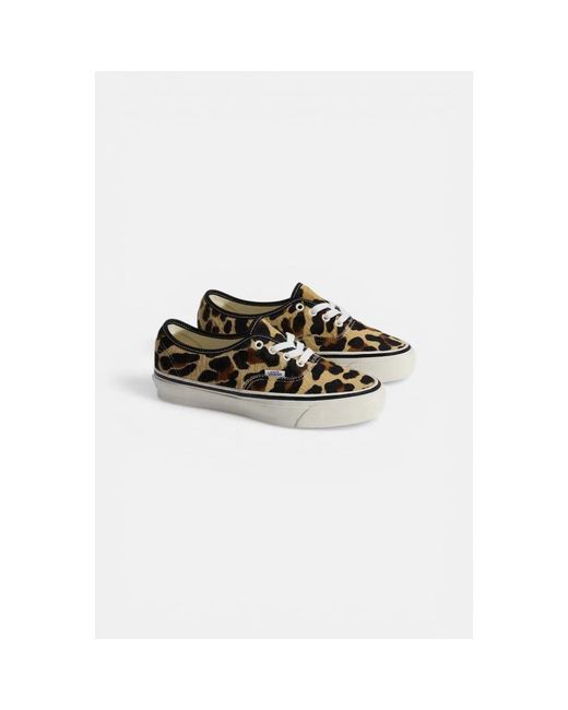 Vans Brown Sneakers