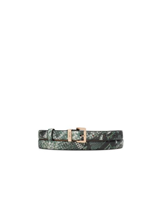 Belts di Kazar in Green