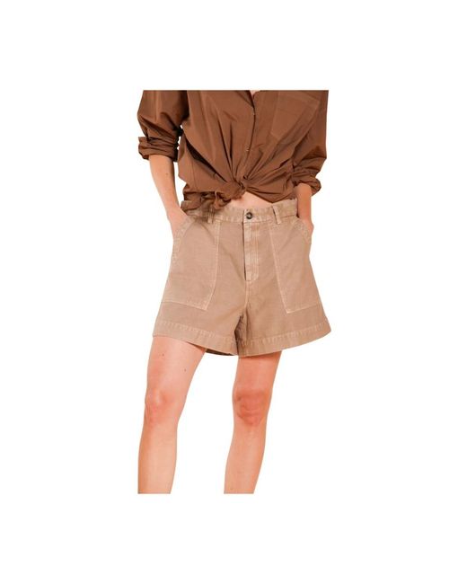 Mason's Brown Casual Shorts