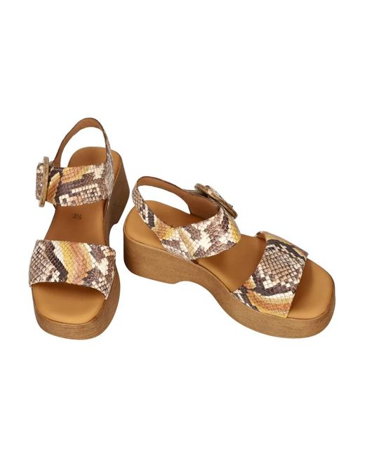Gabor Brown Python Vecchio Sun Combi