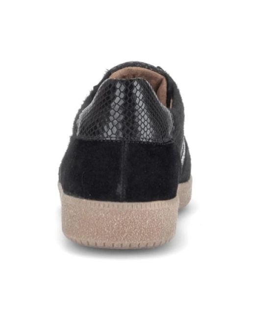 Gabor Black Sneaker Low