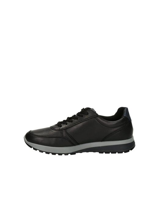 Ara Casual Schnürschuh in Black für Herren