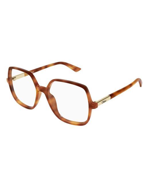 Chloé Brown Glasses