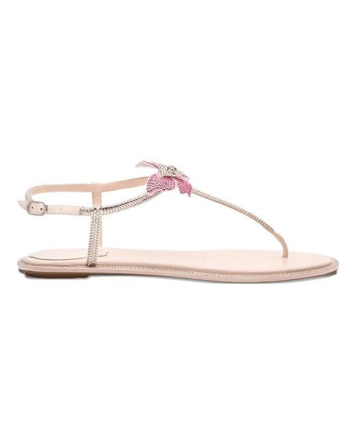 Rene Caovilla Flat Sandals in het Pink