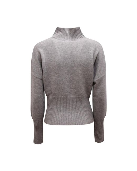Max Mara Turtlenecks in het Gray