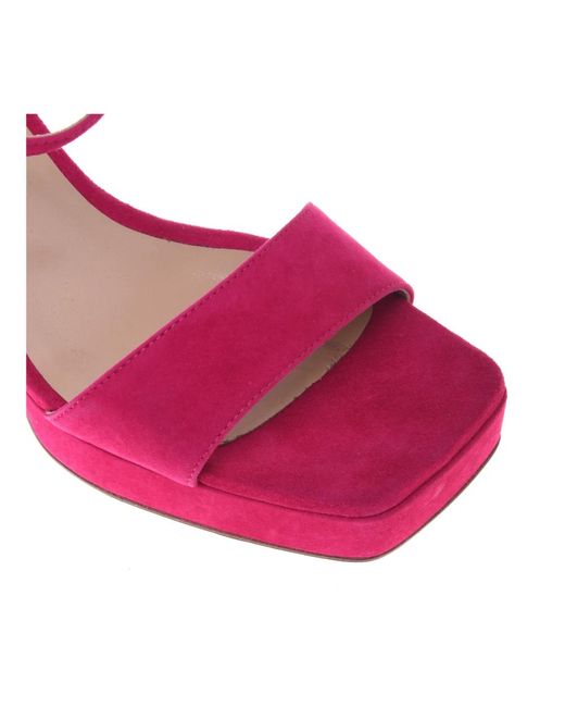 Baldinini Pink Sandal in fuchsia suede