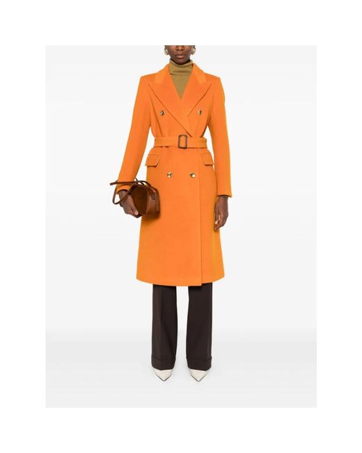 Tagliatore Orange Belted Coats