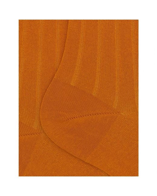 Socks Gallo de hombre de color Brown