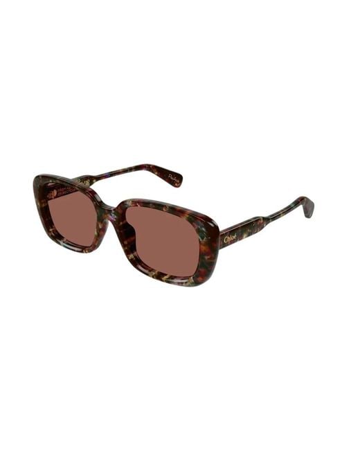 Chloé Brown Sunglasses