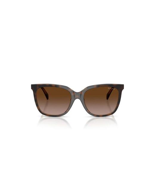Ralph Lauren Brown Sunglasses