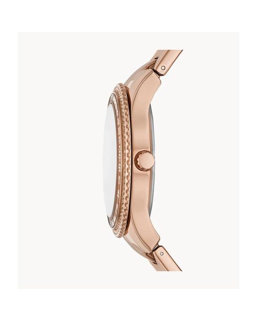 Fossil Brown Watches