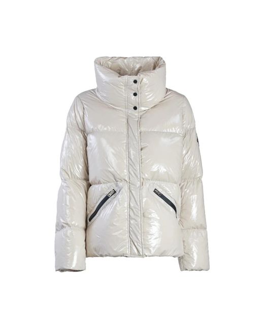 Winter Jackets Herno en coloris Gray