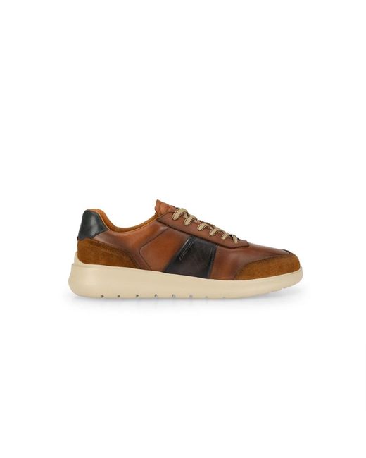 Sneakers Ambitious pour homme en coloris Brown