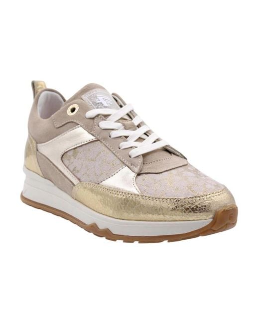 Sneakers Floris Van Bommel de color Gray