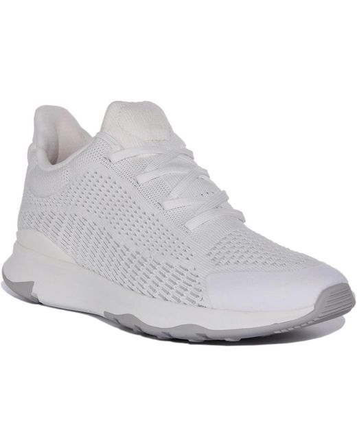 Fitflop Gray Sneakers