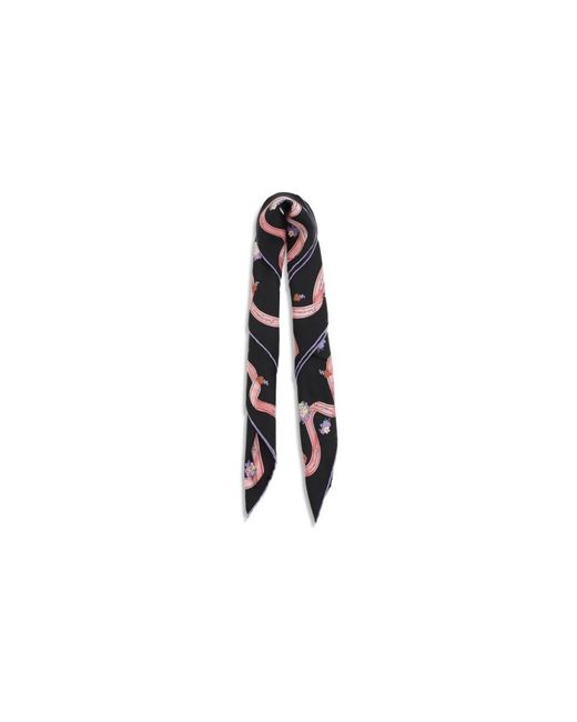 Dolce & Gabbana Multicolor Silk Scarves