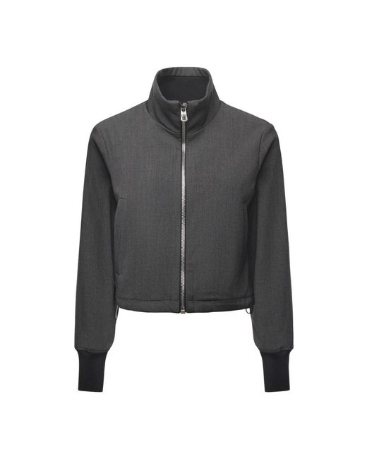 Pinko Jassen ,Grijs ,Gracia Bomber in het Black