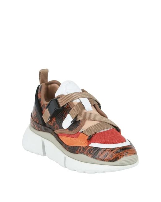 Shoes > sneakers Chloé en coloris Brown