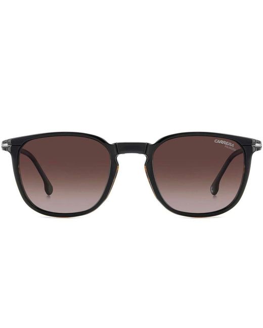 Carrera Schwarze Havana/Braune Polarisierte Sonnenbrille in White für Herren
