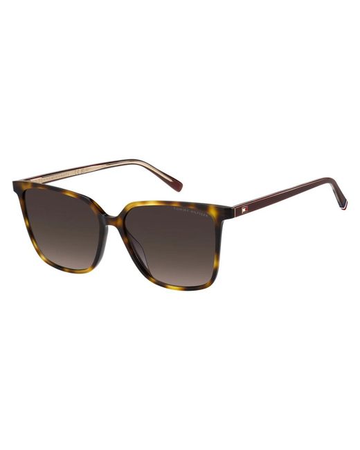 Sunglasses Tommy Hilfiger de color Brown