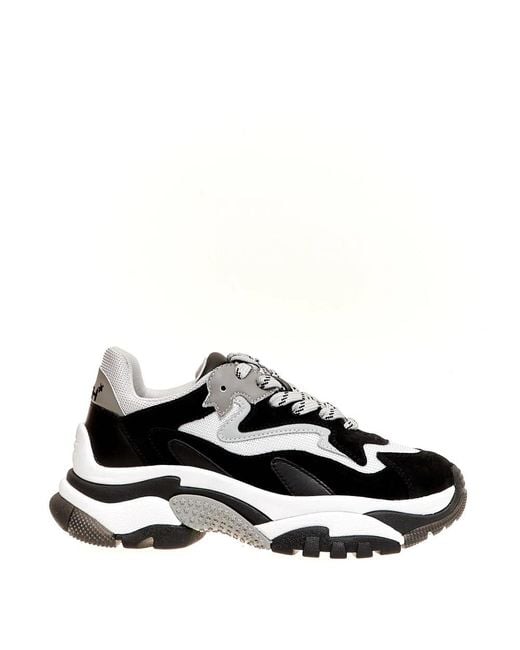 Ash Addict Black And White Sneaker