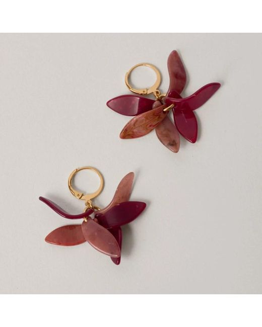 Malababa Earrings in het Pink