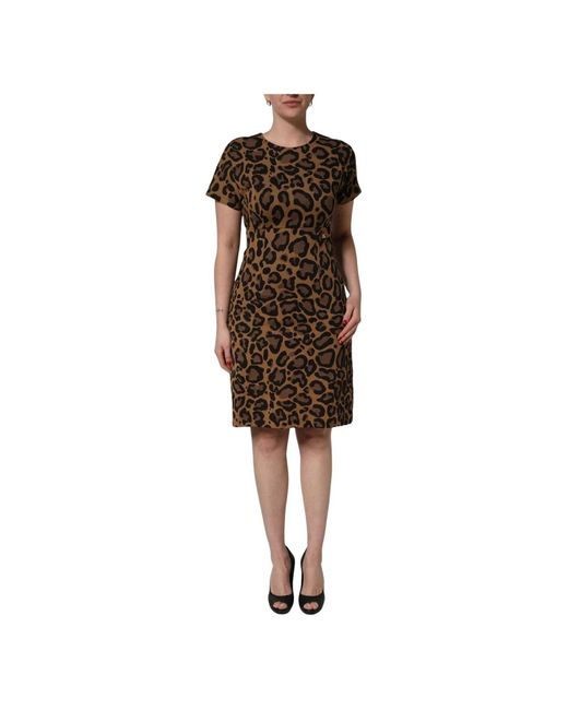 Dolce & Gabbana Brown Knitted Dresses