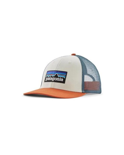 Patagonia Caps in het Blue voor heren