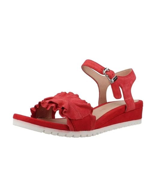 Stonefly Red Wedges