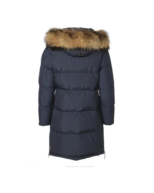 Winter Jackets Danwear de color Blue