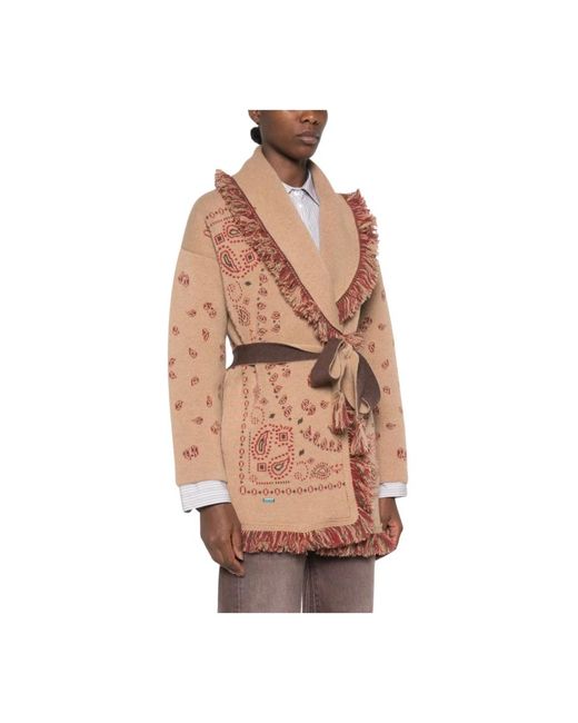 Alanui Brown Cashmere Knitwear