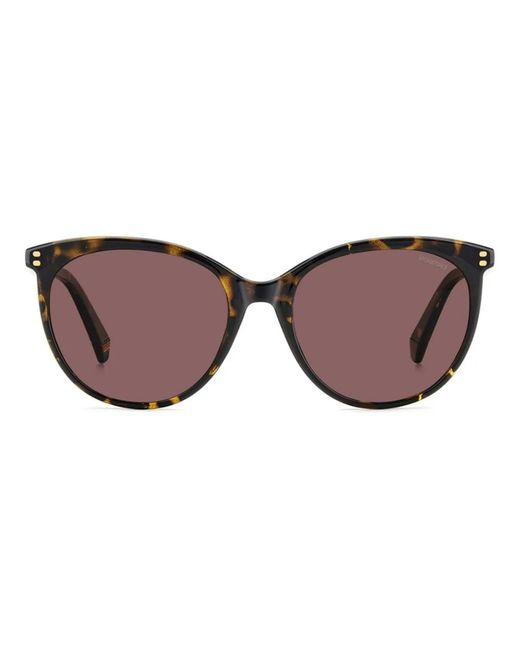 Polaroid Brown Sunglasses