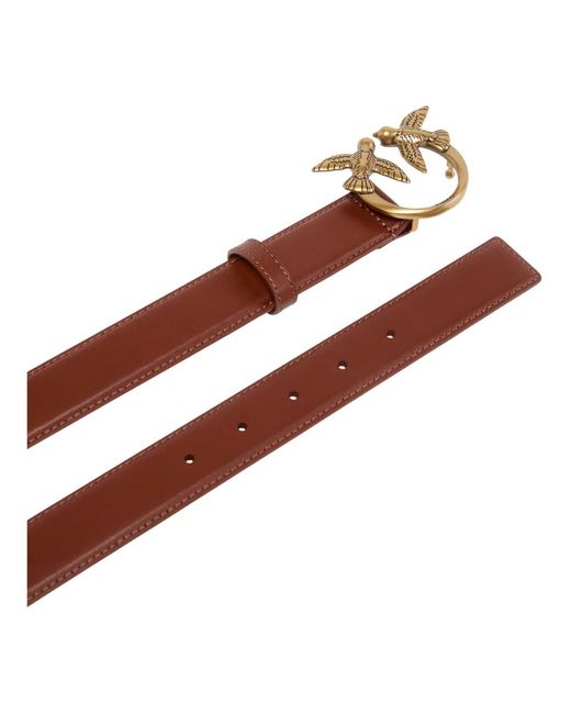 Pinko Brown Belts