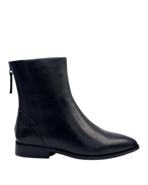 Jeannot Blue Bj544 Tronchetto
