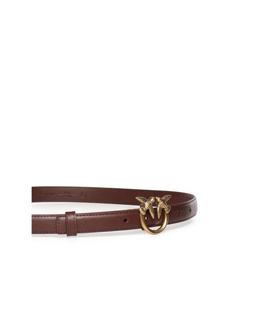 Pinko Brown Belts