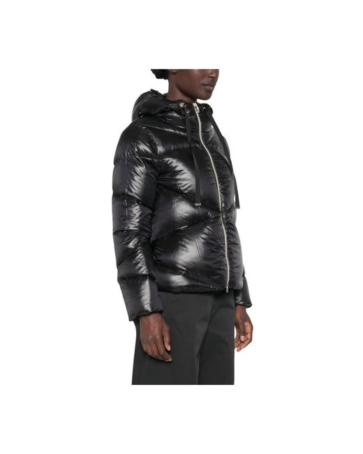 Winter Jackets Herno de color Black