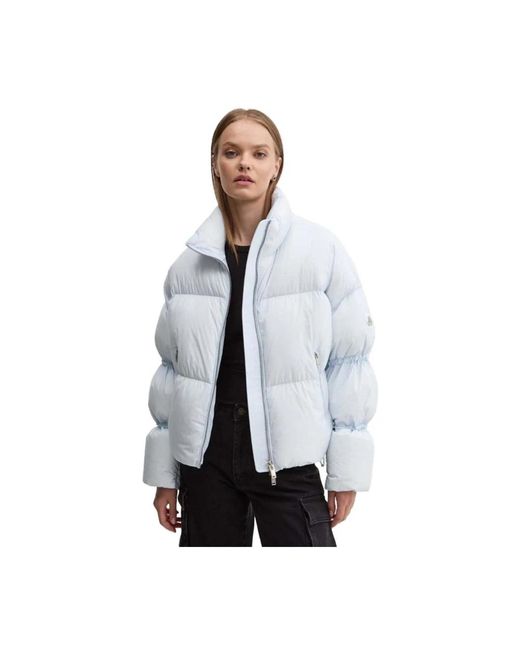 Moose Knuckles Winter Jackets in het Gray