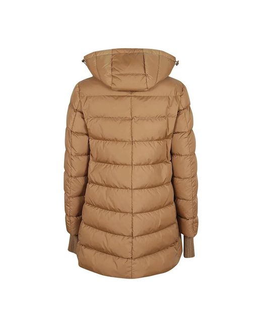 Down Jackets di Herno in Brown