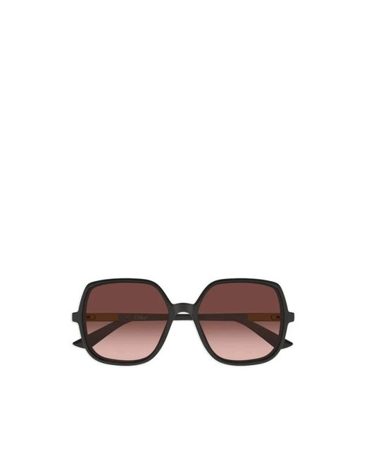 Chloé Brown Sunglasses