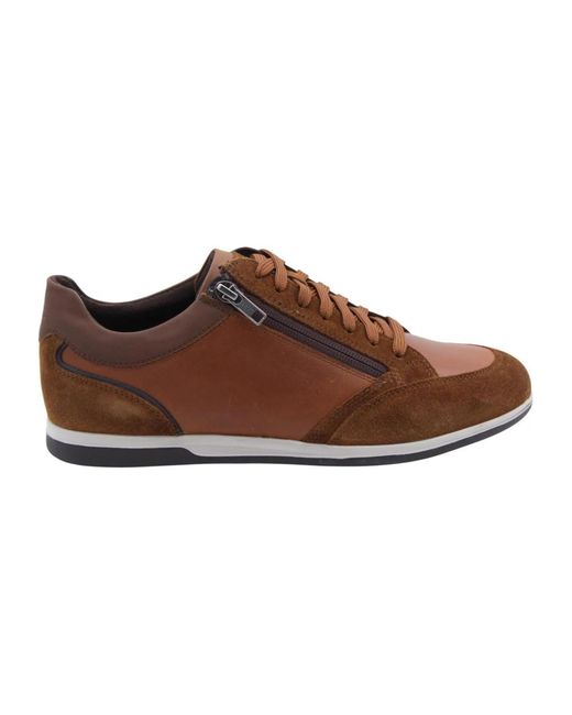 Geox Brown Sneakers for men